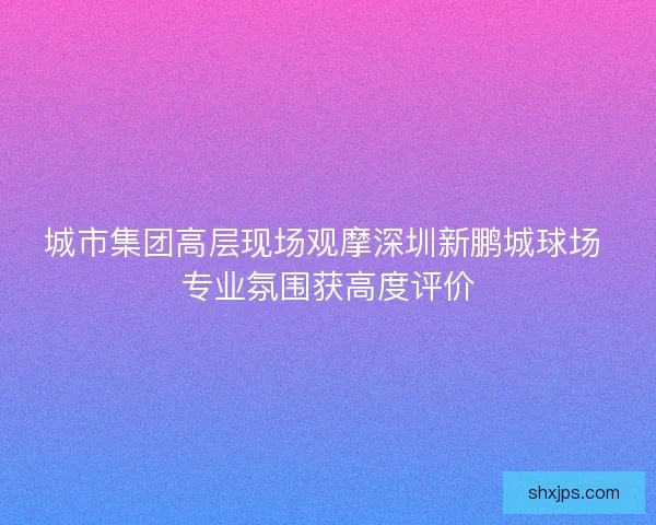 城市集团高层现场观摩深圳新鹏城球场 专业氛围获高度评价