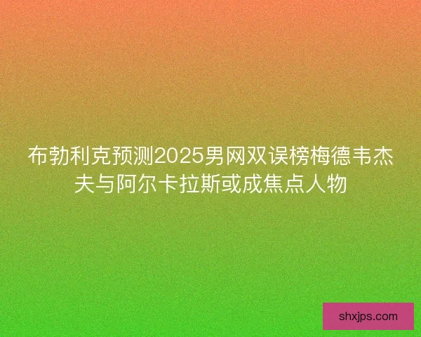 布勃利克预测2025男网双误榜梅德韦杰夫与阿尔卡拉斯或成焦点人物